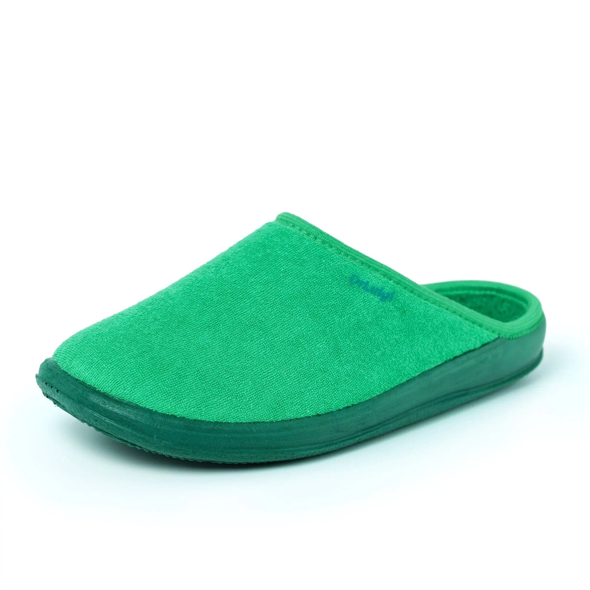DrLuigi® Orthopedic Slippers for Women - Comfortable Medical Footwear Green drluigi