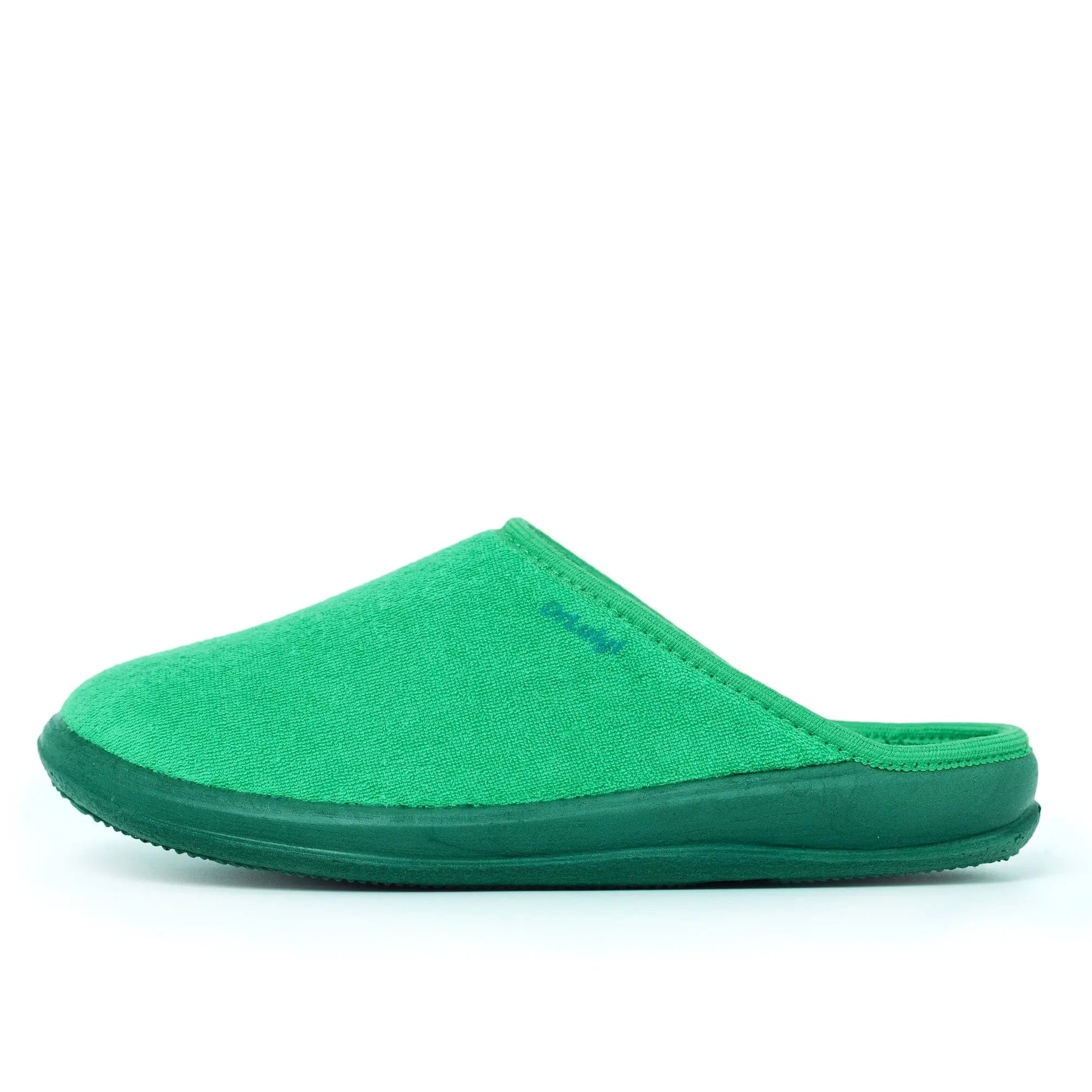 DrLuigi® Orthopedic Slippers for Women - Comfortable Medical Footwear Green drluigi